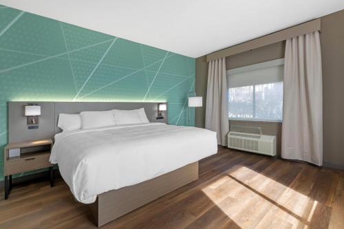 Holiday Inn Express Hotel & Suites Buford-Mall Of Georgia an IHG Hotel - image 35