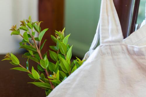 Diaspro B&B - Digital Detox per una vacanza offline