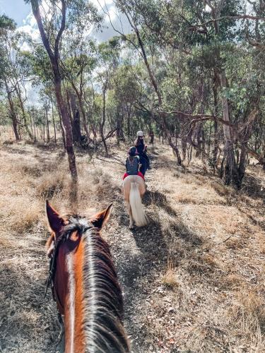 Hickey Vale Farm Studio in Broadford