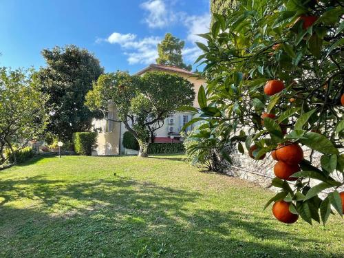 Casa Alice - Tranquilla Casa con Giardino