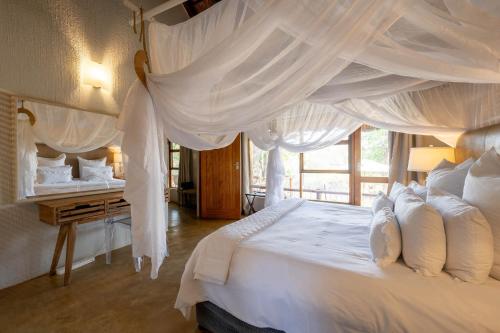 Karongwe - Noka House in Balule Game Reserve