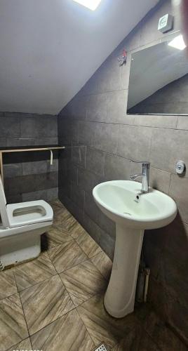 Kiev hostel – Tbilisi, MA