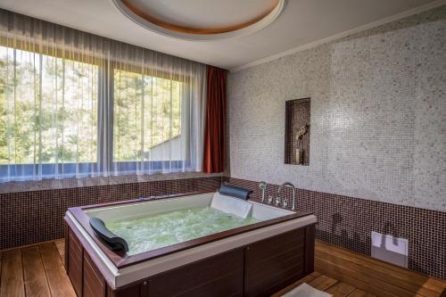 المنطقة المحيطة, Erdospuszta Club Hotel in Debrecen Downtown