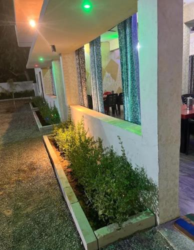 Shiv shakti hotel and resort in Jhunjhunu