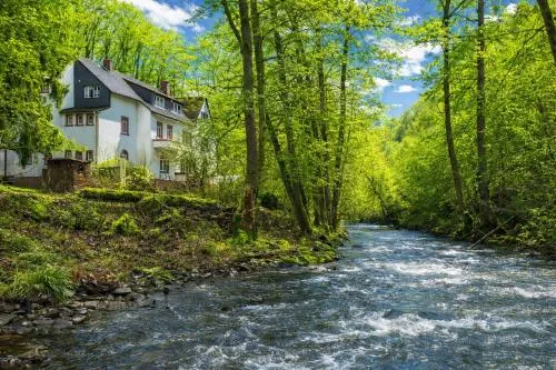 Wald Villa Üssbach in Alf, Deutschland