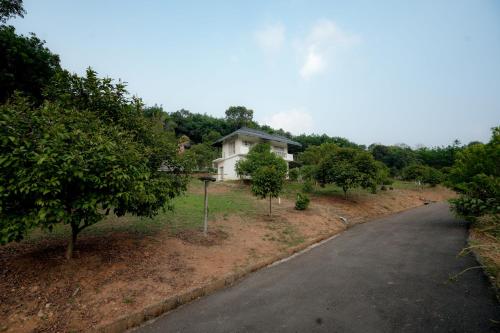 Green Meadows in Vazhoor