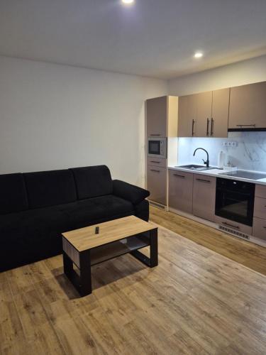 Apartmánové byty s bazénem (Apartmanove byty s bazenem) in فريم بورك