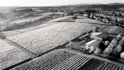 Weingut Freimuth in Geisenheim, Deutschland
