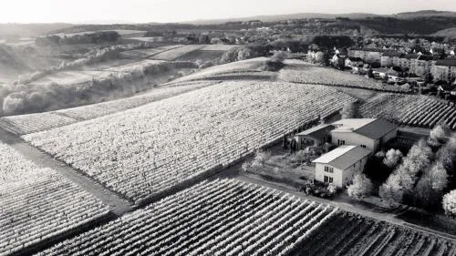 Weingut Freimuth in Geisenheim, Deutschland