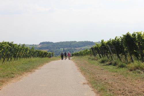 Ferienwohnung Familie Seuferle