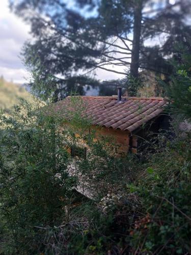 Adorable chalet au coeur de l'Ardèche (Adorable chalet au coeur de l'Ardeche) in Saint-Sauveur-de-Montagut