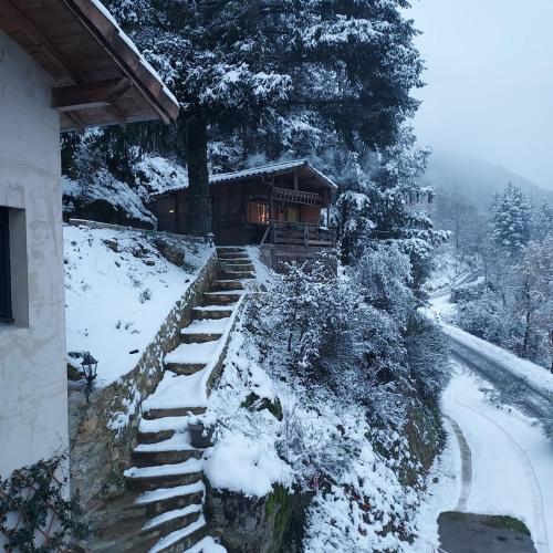 Adorable chalet au coeur de l'Ardèche (Adorable chalet au coeur de l'Ardeche) in Saint-Sauveur-de-Montagut