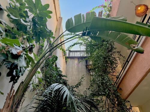 FutoBaba Garden Loft in Mar Mikhael - image 5