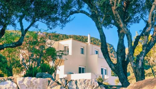 Grand Family Villa by the Sea gîte à louer Agía Pelagía