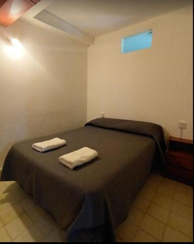 Laguna de los cisnes 2