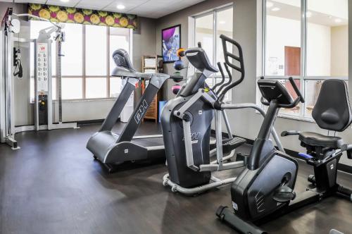 Comfort Inn & Suites Artesia – Artesia, NM