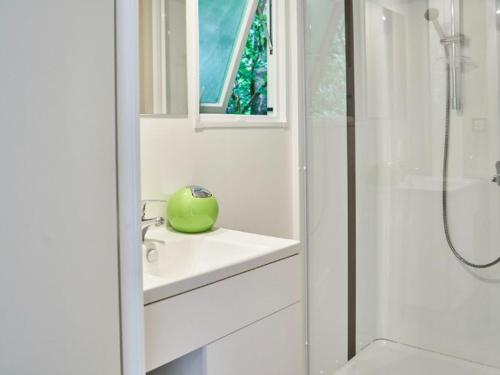Mobil-home confortable avec terrasse a Seez, 2 chambres - API-1-52-872 in Seez