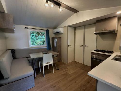 Mobil-home familial 8 pers avec terrasse - API-1-52-900 in Saint-Vincent-de-Lamontjoie