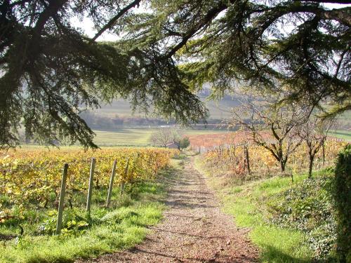 Tenuta San Rocco