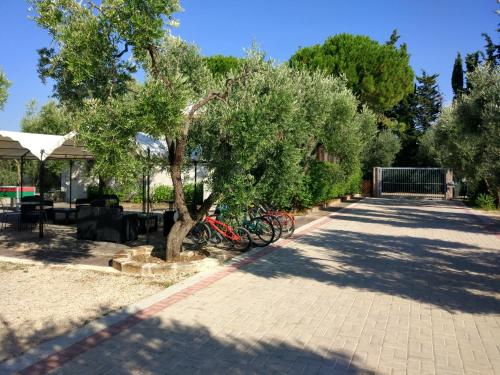 Tenuta Montincello - image 5