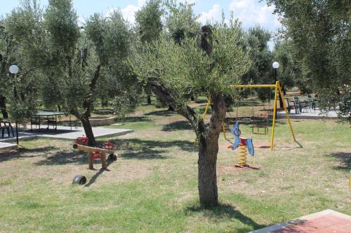 Tenuta Montincello - image 3