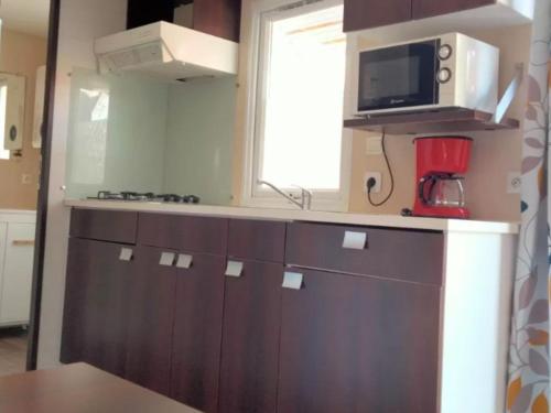 Mobil-Home 2 Chambres avec Terrasse - API-1-52-1325 in Vielmur-sur-Agout