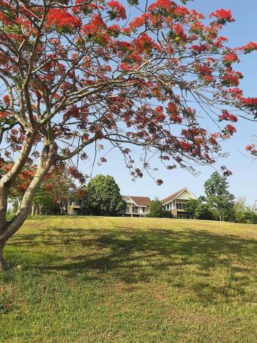 Hilltop Chiang Rai Retreat