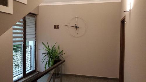 Cluj Business Class - image 9