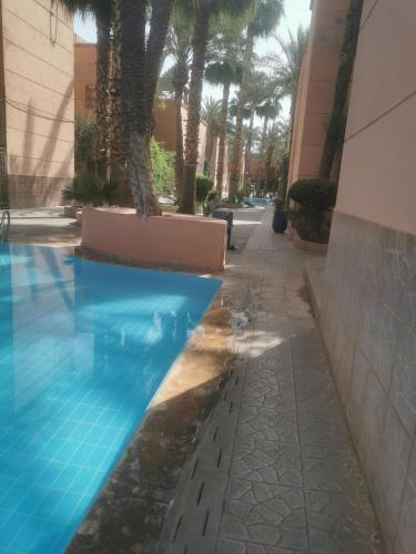 Riad Raphia 5