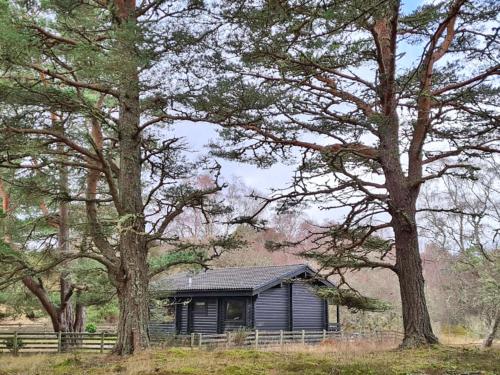 Viesnīcas āriene, Lochside Log Cabin in Golspija
