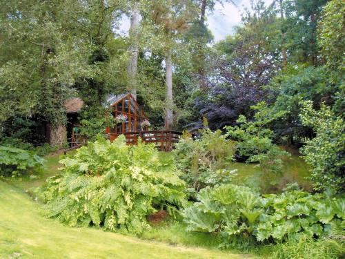 Viesnīcas āriene, Forest Lodge in Godshill