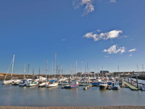 Exterior view, Harbour Lodge in Amble
