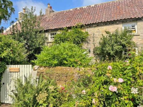 Viesnīcas āriene, Pennywells Cottage Rothbury in Alnham