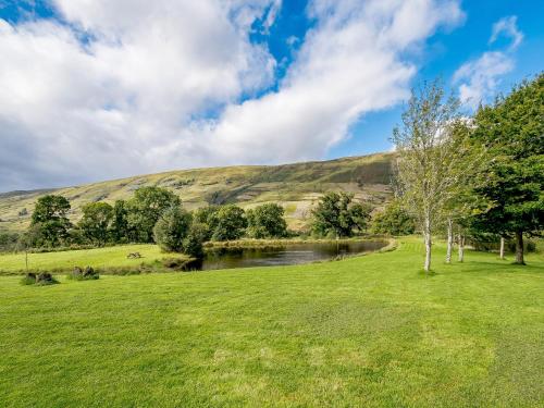 Instalaciones, Larch - Uk31134 in Killin