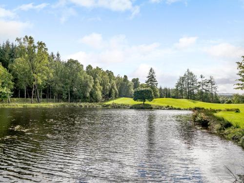 Instalaciones, Larch - Uk31134 in Killin