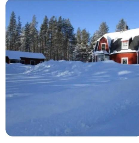 Cozy villa with sauna Skellefteå near lake (Cozy villa with sauna Skelleftea near lake) in Dalback