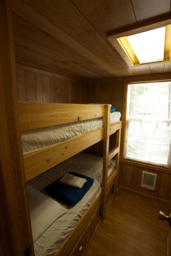 Arrowhead Camping Resort Deluxe Cabin 4 in Douglas Center, USA