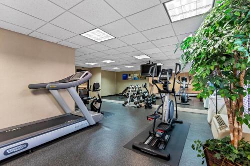 Comfort Inn & Suites Somerset - New Brunswick - image 17