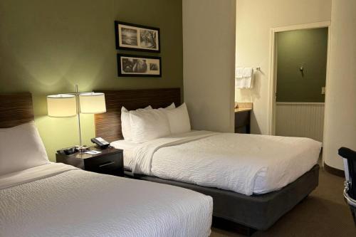 Sleep Inn & Suites Queensbury - Glens Falls - image 39