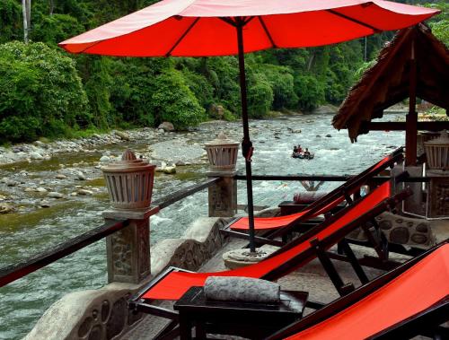 EcoTravel Cottages Bukit Lawang Bukit Lawang