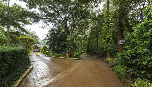 The Windflower Resort & Spa, Coorg