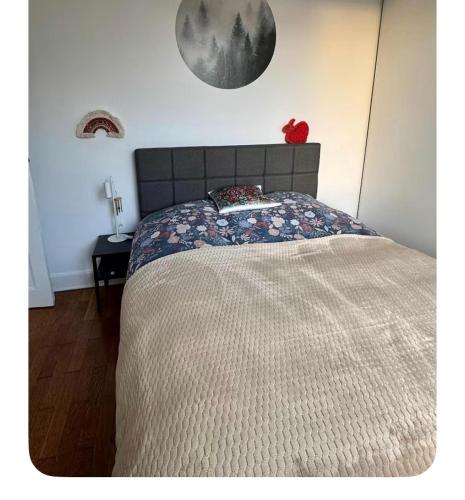 Grand Appartement Cosy au cœur de Lyon 9, Lyon (foto 8)