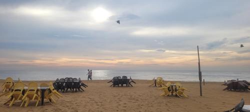 Lavinia Option Beach Inn Colombo in Mount Lavinia Beach