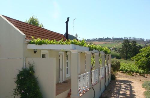 Book the Self Catering Cottage Self Catering Cottage
