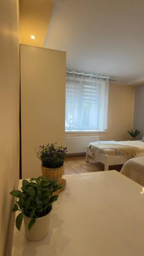 Apartament u Janka
