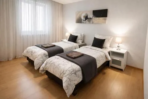 Comfort Apartment Netflix PS4 Parking in Kahl am Main, Deutschland