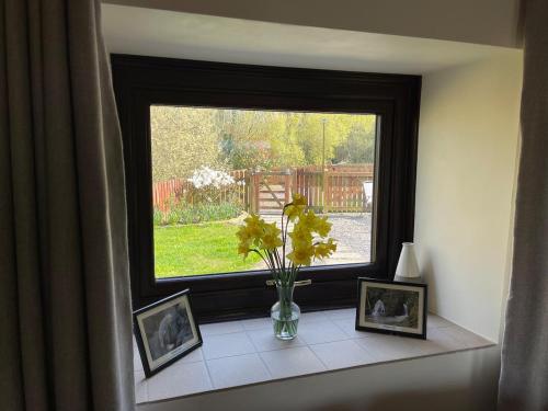 Rural, Secure Garden, Woodland Walks, 23 min to beach in Bwlch-y-groes