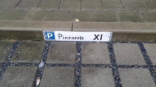 PINEAPPLE APARTMENTS - Zwinger XI - 64qm, Drážďany (fotografie 2)