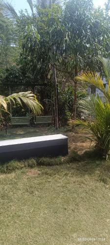 blue Mount stay in Gudalur