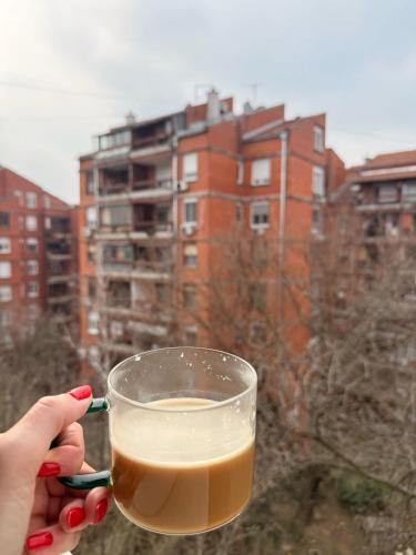 Belgrade Light & Cozy Flat Banovo Brdo 3-Star Single Room lobby